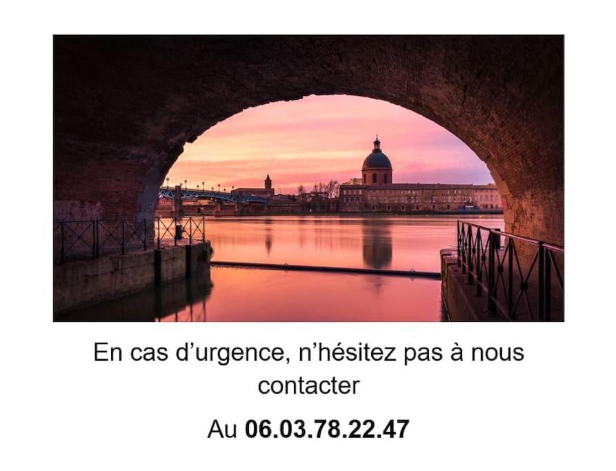 Вилла Le 16 Тулуза Экстерьер фото